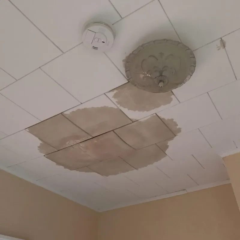 Ceiling Water Damage Repair in Bunk Foss, WA