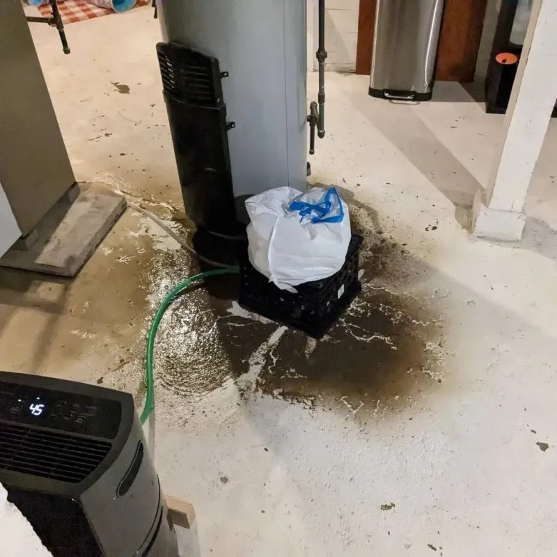 Sewage Backup Cleanup Service in Bunk Foss, WA